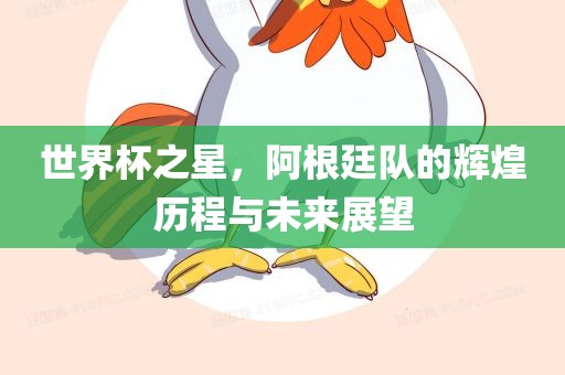 世界杯之星，阿根廷队的辉煌历程与未来展望