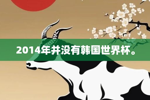 2014年并没有韩国世界杯。