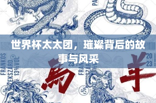 世界杯太太团，璀璨背后的故事与风采