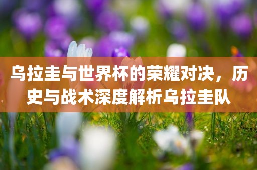 乌拉圭与世界杯的荣耀对决，历史与战术深度解析乌拉圭队