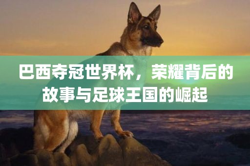 巴西夺冠世界杯，荣耀背后的故事与足球王国的崛起