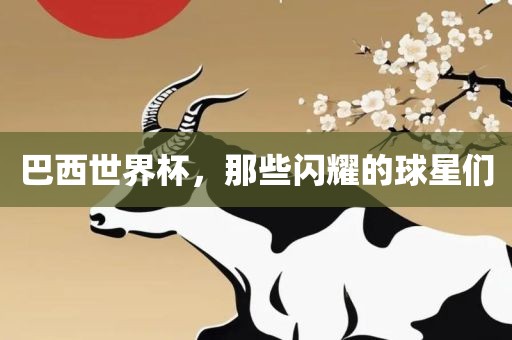 巴西世界杯，那些闪耀的球星们