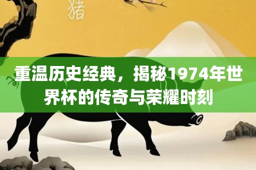 重温历史经典，揭秘1974年世界杯的传奇与荣耀时刻