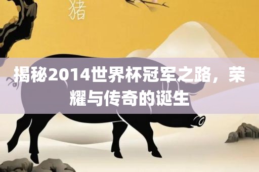 揭秘2014世界杯冠军之路，荣耀与传奇的诞生