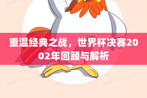 重温经典之战，世界杯决赛2002年回顾与解析