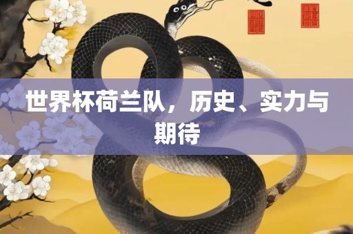 世界杯荷兰队，历史、实力与期待
