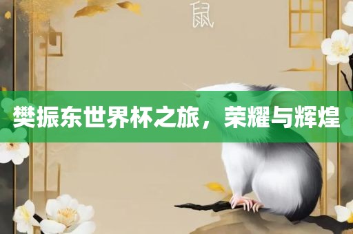 樊振东世界杯之旅，荣耀与辉煌