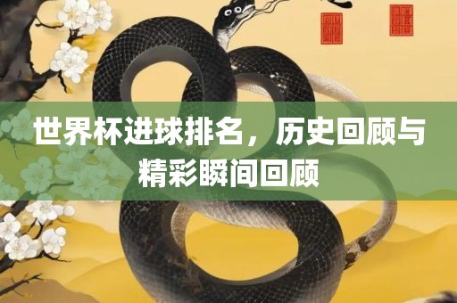 世界杯进球排名，历史回顾与精彩瞬间回顾