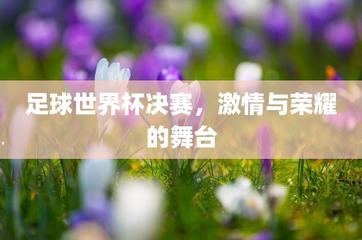 足球世界杯决赛，激情与荣耀的舞台