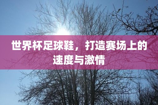 世界杯足球鞋，打造赛场上的速度与激情
