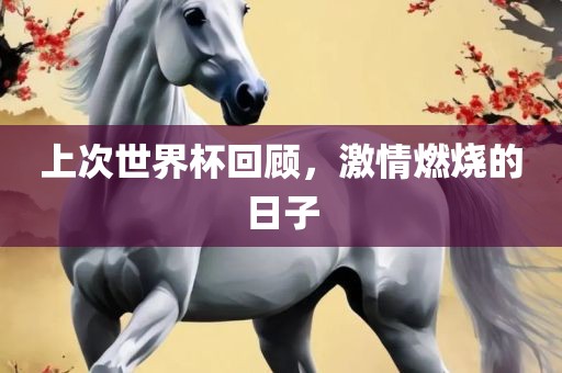 上次世界杯回顾，激情燃烧的日子