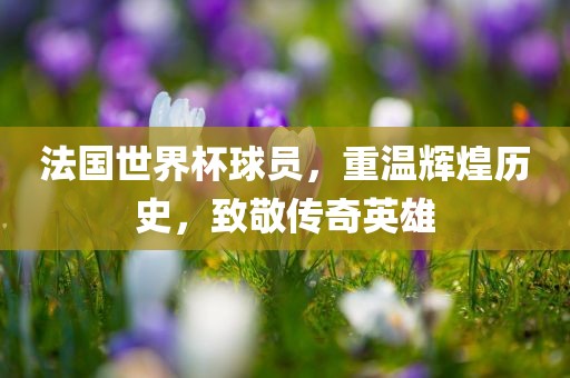 法国世界杯球员，重温辉煌历史，致敬传奇英雄