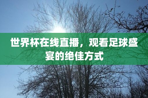 世界杯在线直播，观看足球盛宴的绝佳方式
