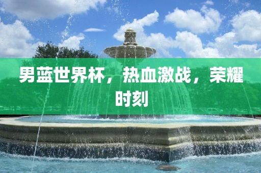 男蓝世界杯，热血激战，荣耀时刻