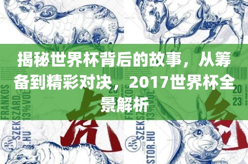 揭秘世界杯背后的故事，从筹备到精彩对决，2017世界杯全景解析