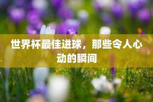 世界杯最佳进球，那些令人心动的瞬间