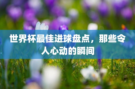 世界杯最佳进球盘点，那些令人心动的瞬间