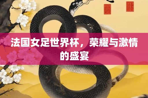 法国女足世界杯，荣耀与激情的盛宴
