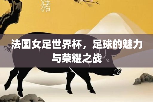 法国女足世界杯，足球的魅力与荣耀之战