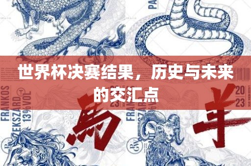 世界杯决赛结果，历史与未来的交汇点