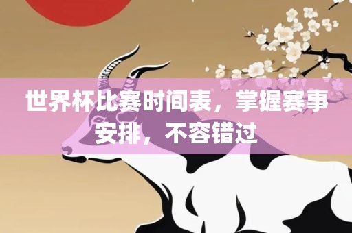 世界杯比赛时间表，掌握赛事安排，不容错过