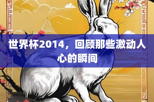 世界杯2014，回顾那些激动人心的瞬间