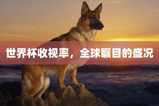 世界杯收视率，全球瞩目的盛况