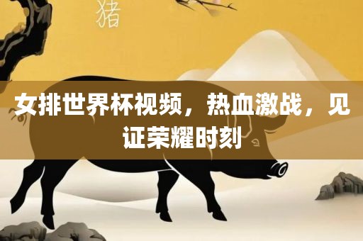 女排世界杯视频，热血激战，见证荣耀时刻