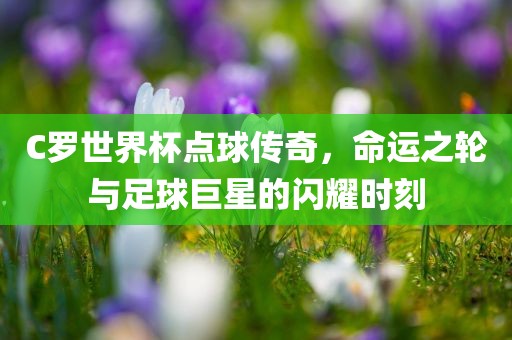 C罗世界杯点球传奇，命运之轮与足球巨星的闪耀时刻