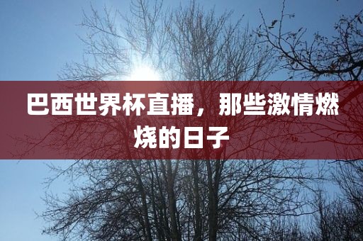 巴西世界杯直播，那些激情燃烧的日子