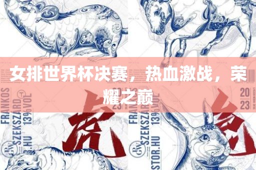女排世界杯决赛，热血激战，荣耀之巅