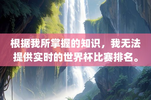 根据我所掌握的知识，我无法提供实时的世界杯比赛排名。