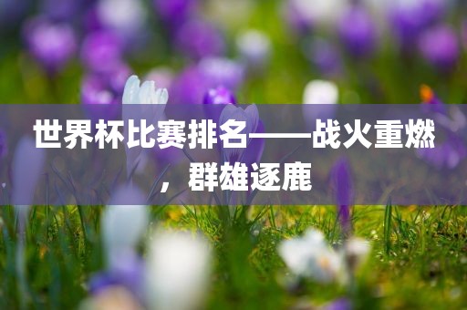 世界杯比赛排名——战火重燃，群雄逐鹿