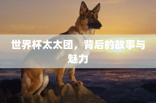 世界杯太太团，背后的故事与魅力