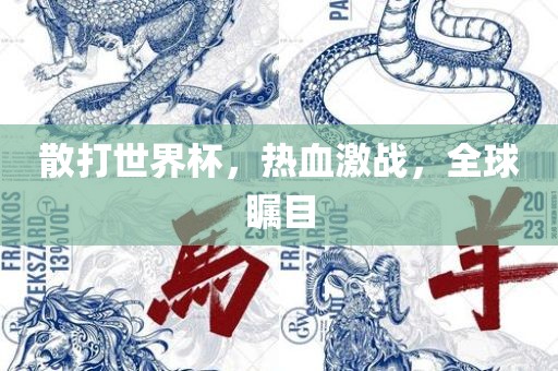 散打世界杯，热血激战，全球瞩目