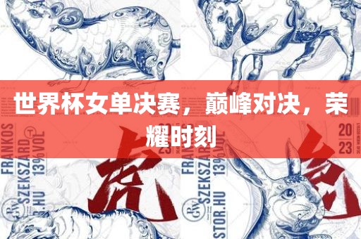 世界杯女单决赛，巅峰对决，荣耀时刻