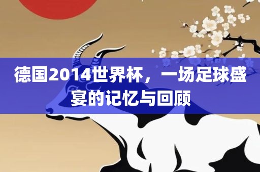 德国2014世界杯，一场足球盛宴的记忆与回顾