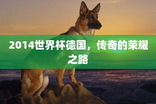 2014世界杯德国，传奇的荣耀之路