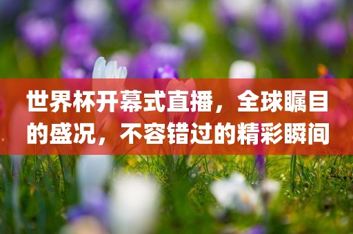 世界杯开幕式直播，全球瞩目的盛况，不容错过的精彩瞬间