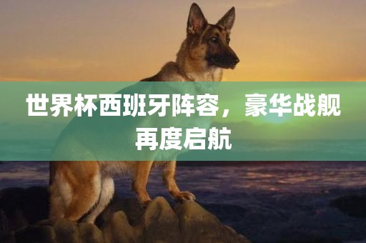 世界杯西班牙阵容，豪华战舰再度启航