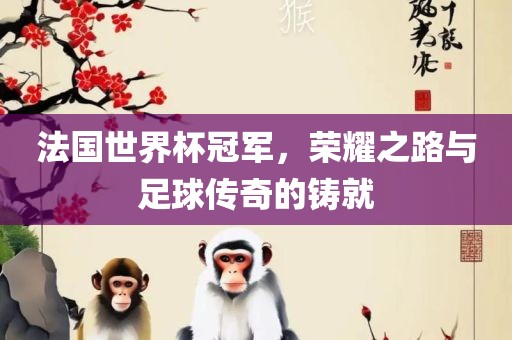 法国世界杯冠军，荣耀之路与足球传奇的铸就