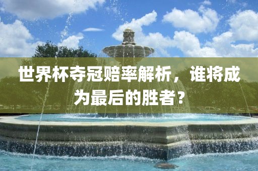 世界杯夺冠赔率解析，谁将成为最后的胜者？