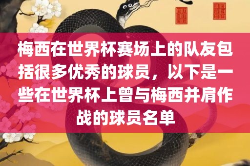 梅西在世界杯赛场上的队友包括很多优秀的球员，以下是一些在世界杯上曾与梅西并肩作战的球员名单