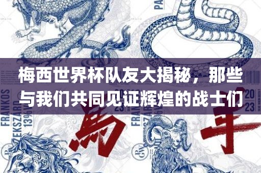 梅西世界杯队友大揭秘，那些与我们共同见证辉煌的战士们