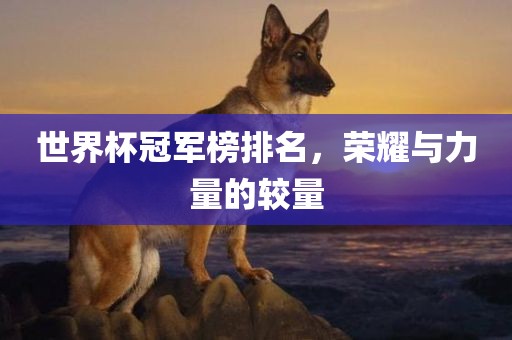 世界杯冠军榜排名，荣耀与力量的较量