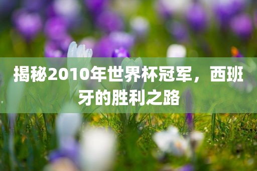 揭秘2010年世界杯冠军，西班牙的胜利之路
