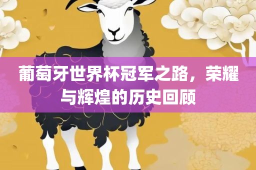 葡萄牙世界杯冠军之路，荣耀与辉煌的历史回顾