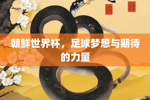 朝鲜世界杯，足球梦想与期待的力量
