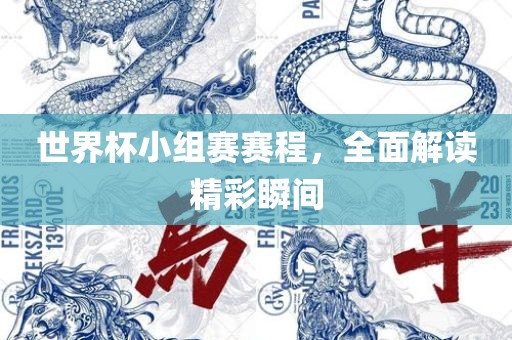 世界杯小组赛赛程，全面解读精彩瞬间