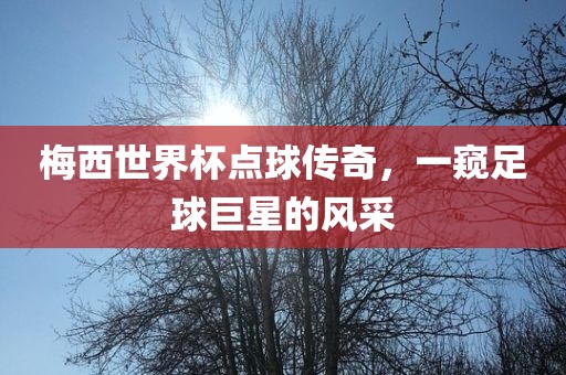 梅西世界杯点球传奇，一窥足球巨星的风采